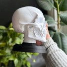 Hodeskalle - Memento Mori  thumbnail