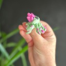 Crystal Crab - Mint & Rosa thumbnail