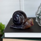 Regnbue Fluoritt Snegle thumbnail