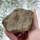 Forsteinet Tre Telysholder Lav  thumbnail