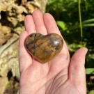 Golden Healer & Pyritt Hjerte #12 thumbnail