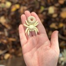 Mini Spider Donut - Vanilla Chocolate/Vanilje Sjokolade thumbnail