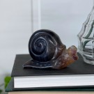 Regnbue Fluoritt Snegle thumbnail