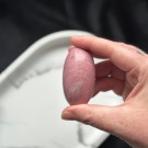 Unik Rosa Forsteinet Tre Shiva #4  thumbnail