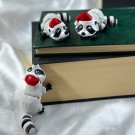 Vaskebjørn med nisselue thumbnail