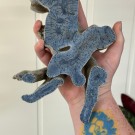 STATEMENT: Stor Blå Fossiliert Korall - 797g  thumbnail