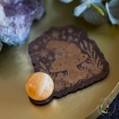 Vel Unt's Krystallholder - Frog On Mushroom   thumbnail