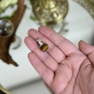 Tigerøye Gresskar med Heksehatt Anheng thumbnail