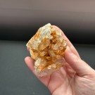 Mandarinkvarts Gruppe [Tangerine] #8 thumbnail