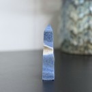 Blå Fossiliert Korall Tårn thumbnail