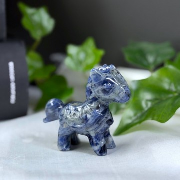 Mini Ponni - Sodalitt