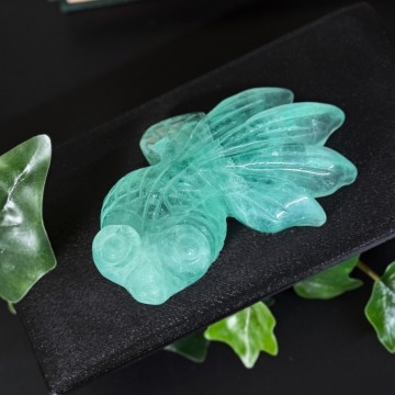 Grønn Aqua Fluoritt Slørhale #1
