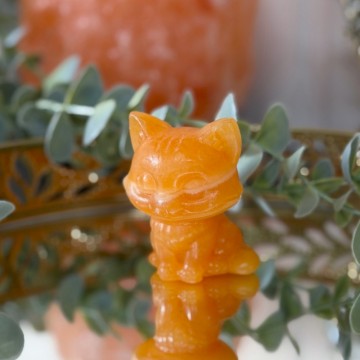 Oransje Bånd Kalsitt - Søt Katt