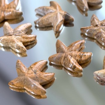 Dendrit Jaspis Sjøstjerne (Bilde Jaspis)