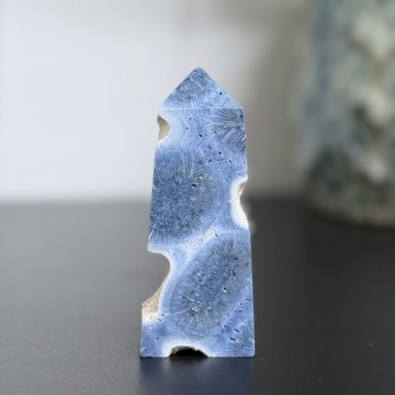 Blå Fossiliert Korall Tårn