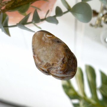 Krystallisert Skjell Cabochon - 20,8g