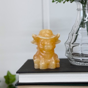 Highland Cow Cowboy i Oransje Kalsitt