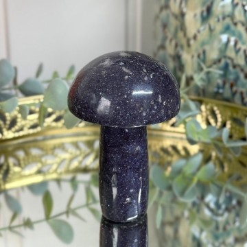 Stor Lepidolitt Sopp #1