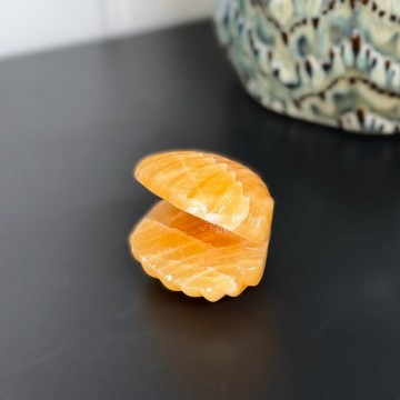 Oransje Kalsitt Skjell