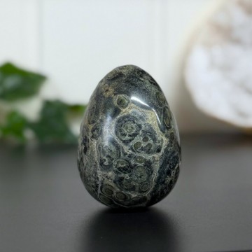 Kambaba Jaspis Egg #1