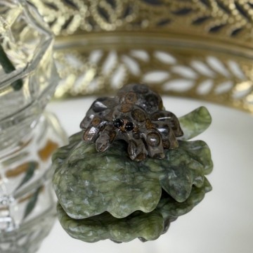 Edderkopp på blad - Fruit Jasper & Serpentin #1