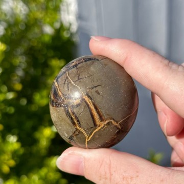 Septarian Håndstein Oval #1