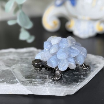 Blonde Agat Chips Skilpadde (Blue Lace)