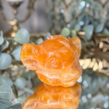 Oransje Bånd Kalsitt - Stort Simba Hode