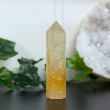 Golden Healer Tårn #3