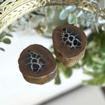 Septarian Nodule Par #4