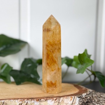 Golden Healer Tårn #1