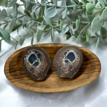 Septarian Nodules Par #4