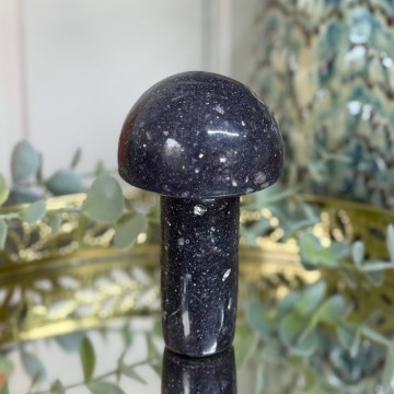 Stor Lepidolitt Sopp #2