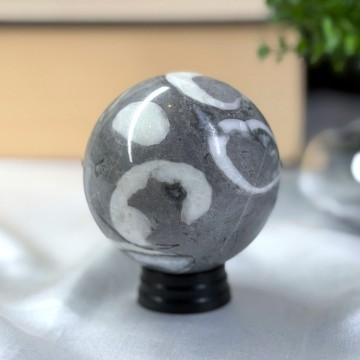 Skjell Jaspis Kule (Thousand Eye) - 6,2cm