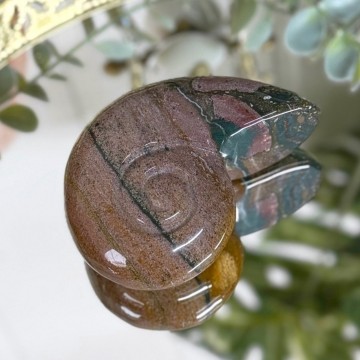 Sjø Jaspis Ammonitt Utskjæring