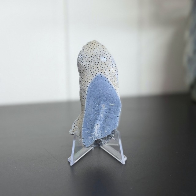 - uten holder