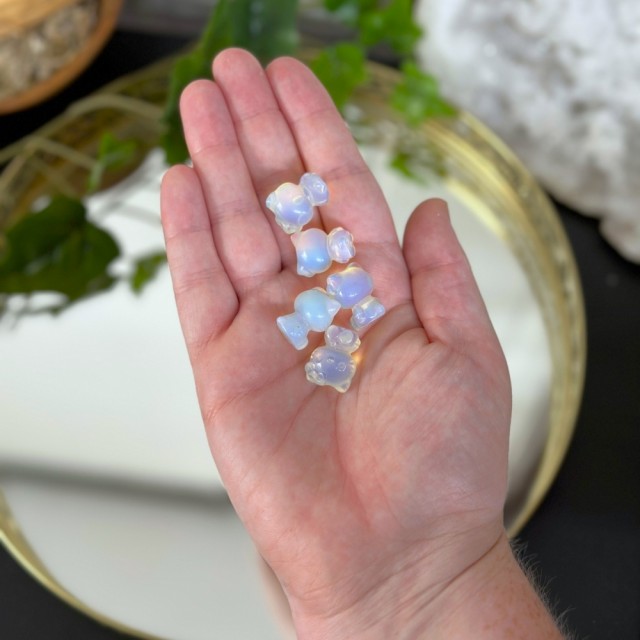 størrelse i hånden