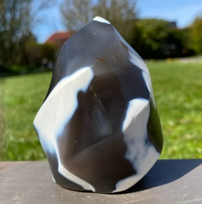 Orca Agat