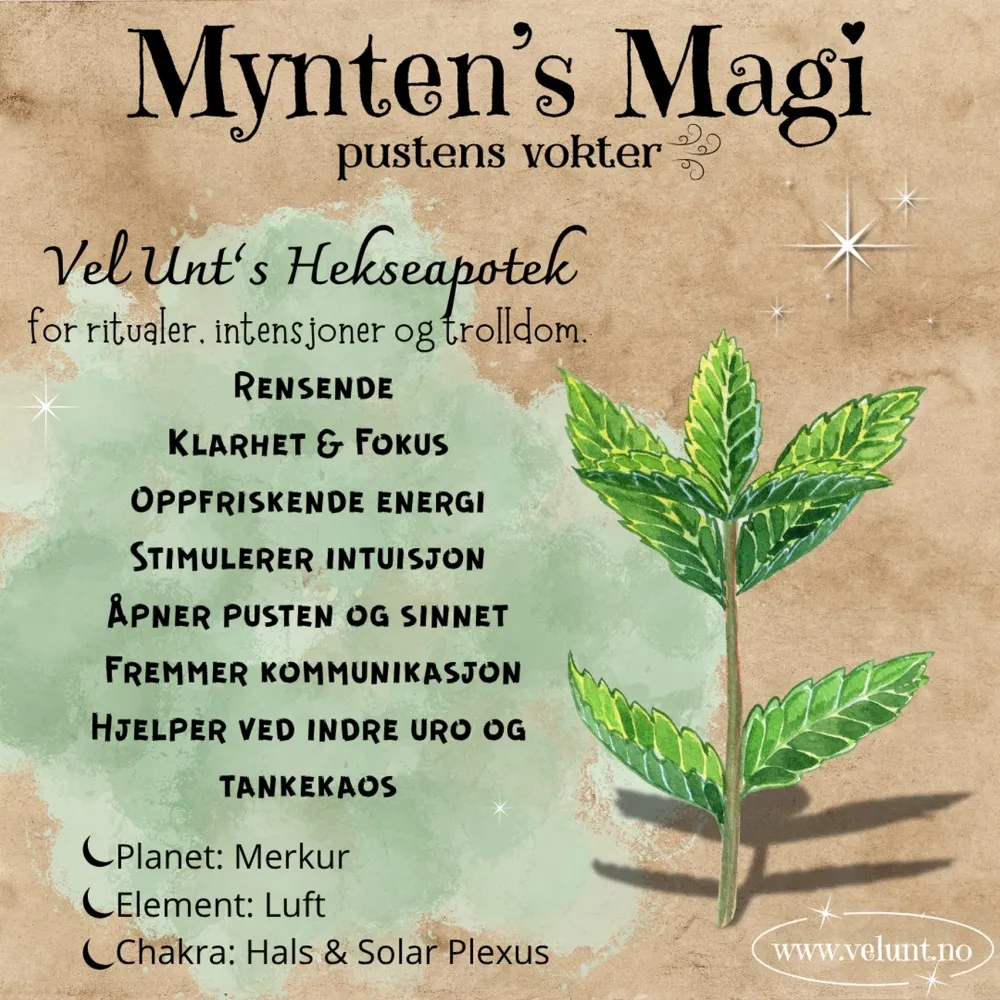 Produktbilde 2