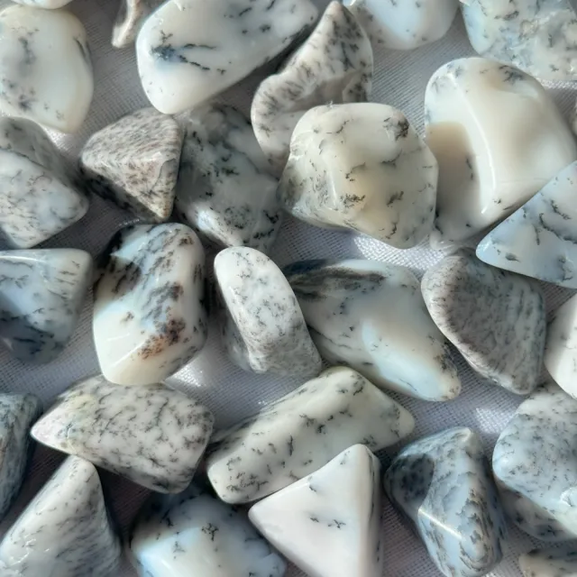 Dendrit Opal/Merlinitt Tromlet fra Madagaskar