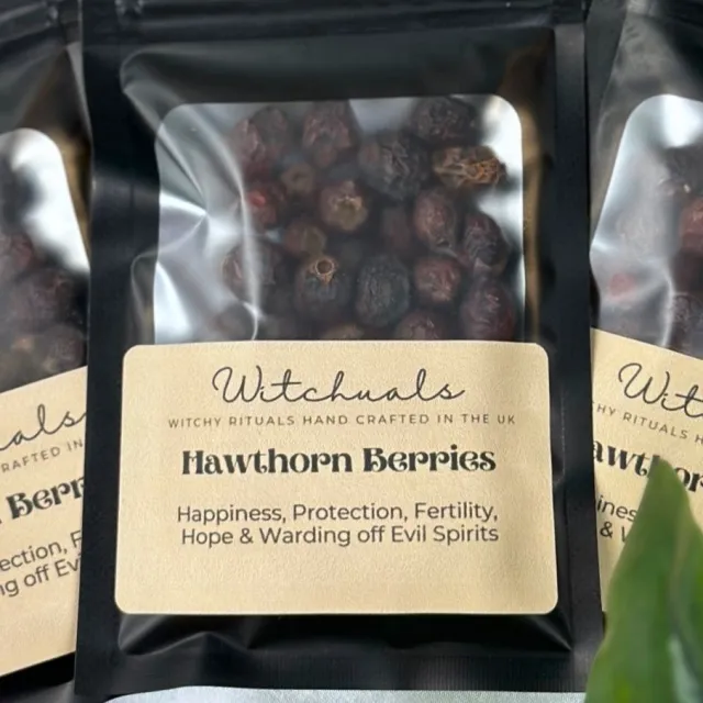 Witchuals: Hawthorn Berries/Hagtornbær