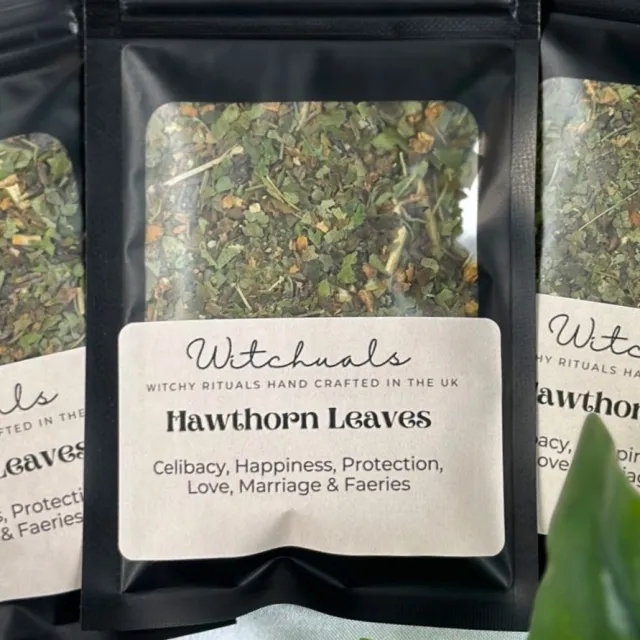 Witchuals: Hawthorn Leaves/Hagtorn Blader  