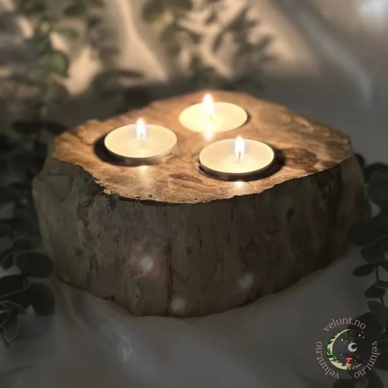 Forsteinet Tre - Petrified Wood