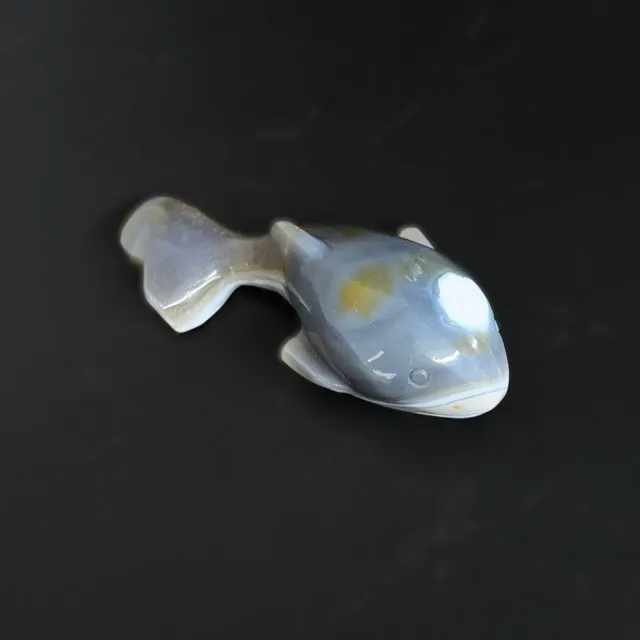 Orca Agat Spekkhogger #2