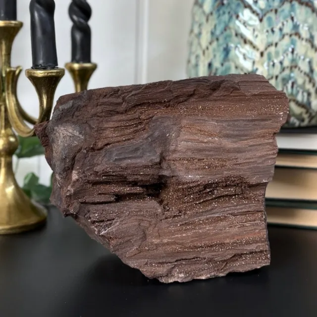 Statement Piece - Krystallisert Forsteinet Tre fra Zwenkau, Tyskland (2877g)
