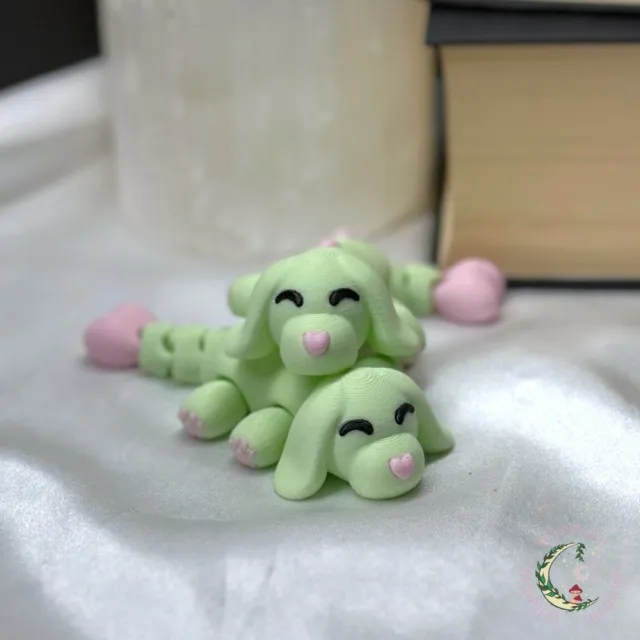Flexi Dog of Love - Mint & Rosa