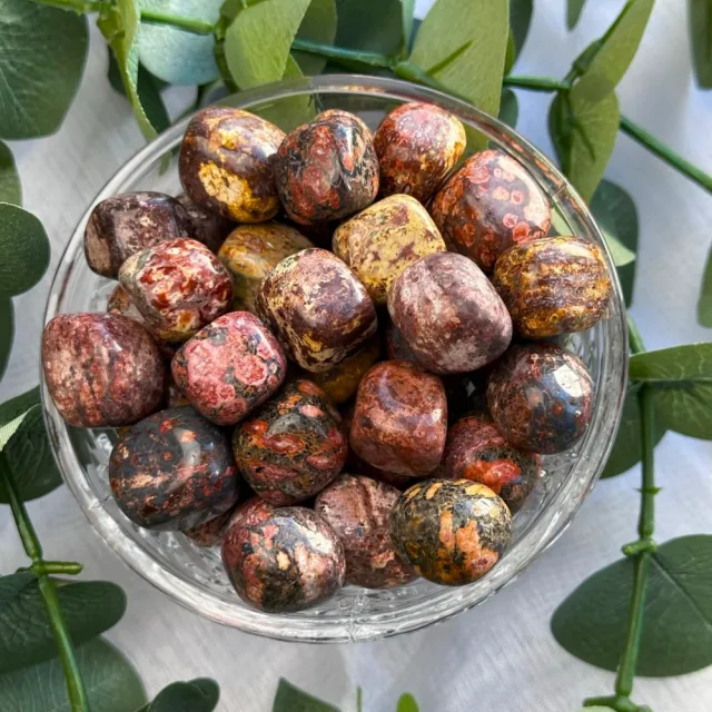 Leoparditt Tromlet Små
