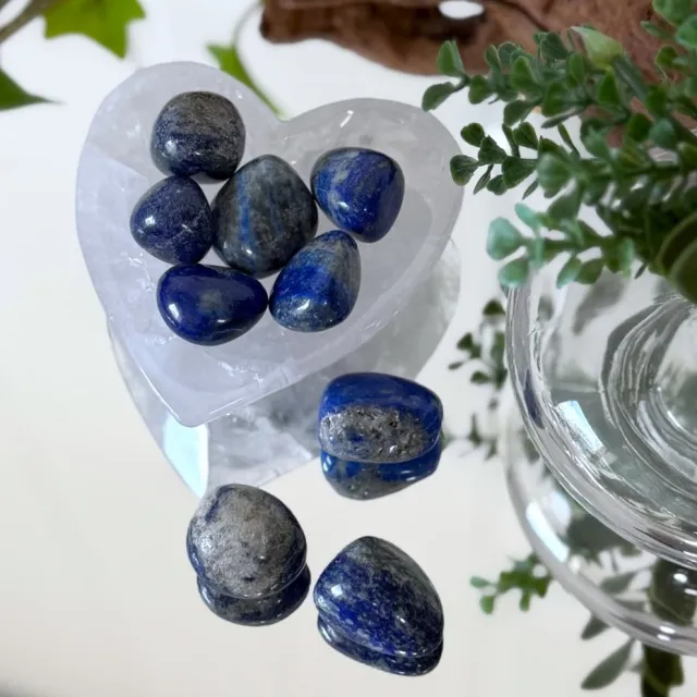 Lapis Lazuli Tromlet Små-Medium (flere valg/str)