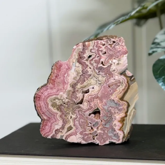 Rhodokrositt Skive - Collector's Piece (424g)
