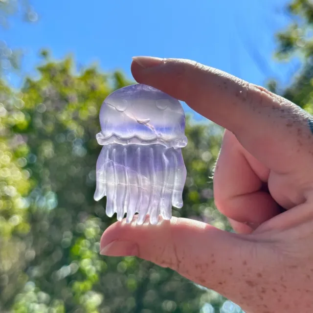 Fluoritt Jellyfish [5]**